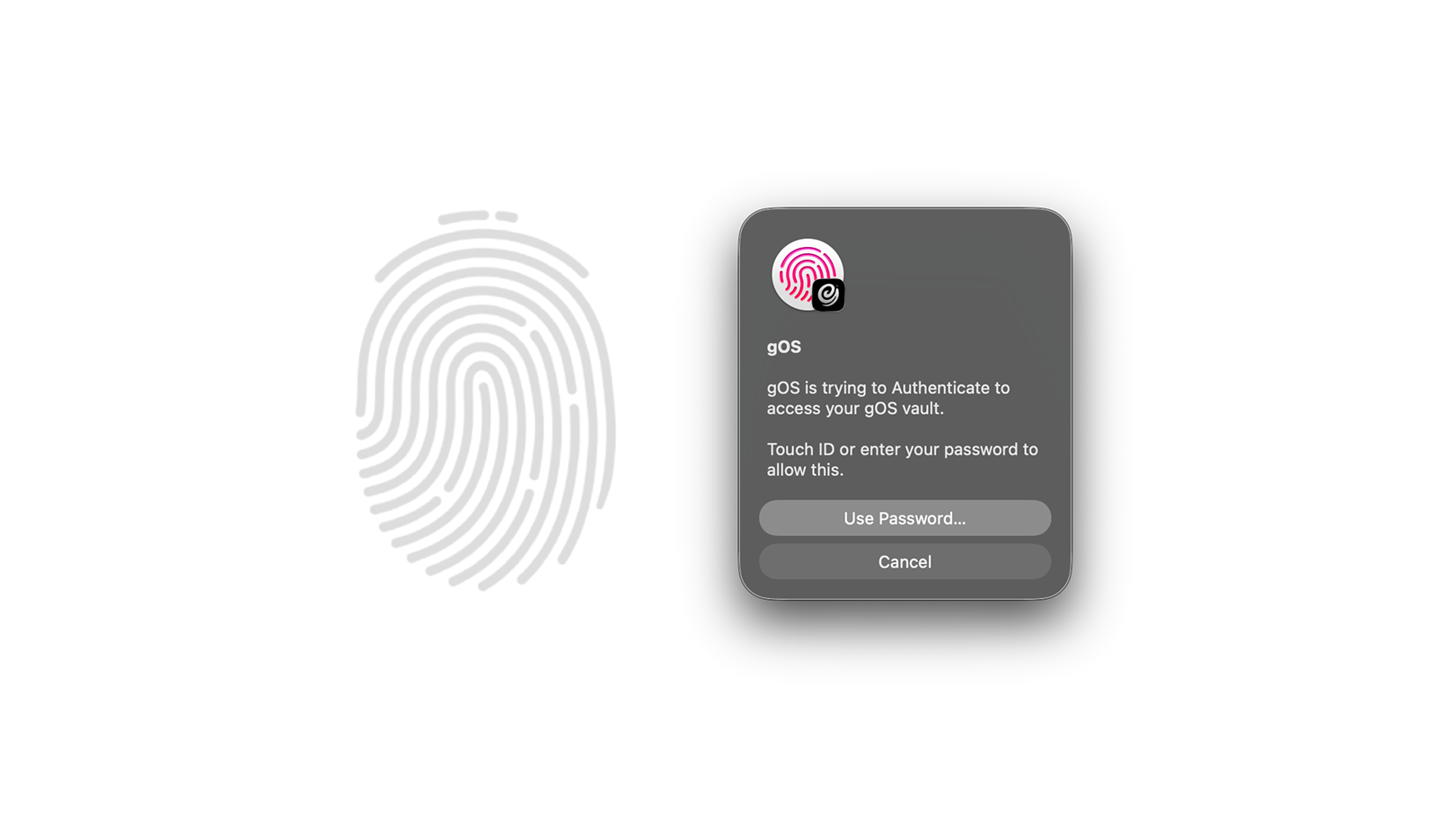 gOS biometric security screen powered by TouchID